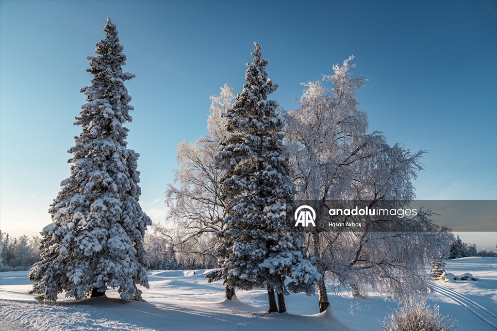 Alaska’da ilk kar yağışıyla doğa beyaza büründü