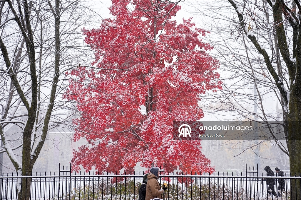 В Торонто выпал первый снег сезона