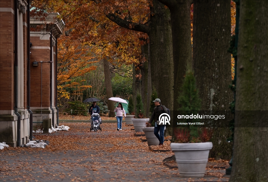 Осень в зоопарке Бронкса в Нью-Йорке