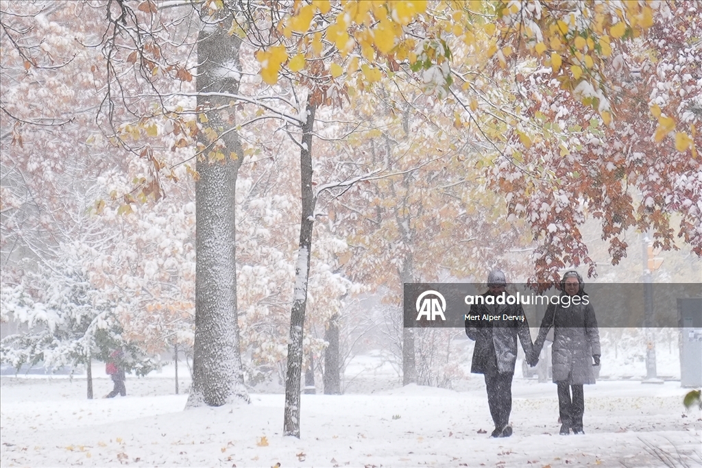 В Торонто выпал первый снег сезона