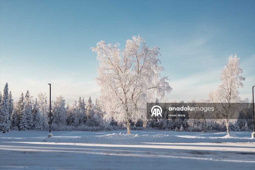 Alaska’da ilk kar yağışıyla doğa beyaza büründü