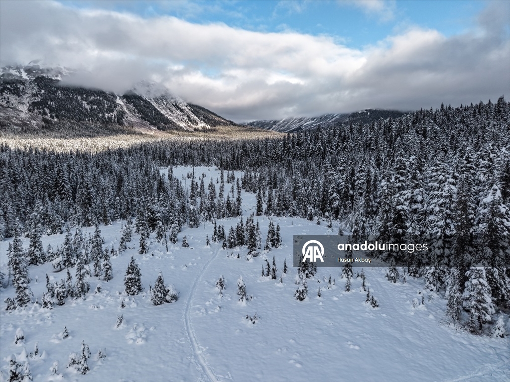Alaska’da ilk kar yağışıyla doğa beyaza büründü