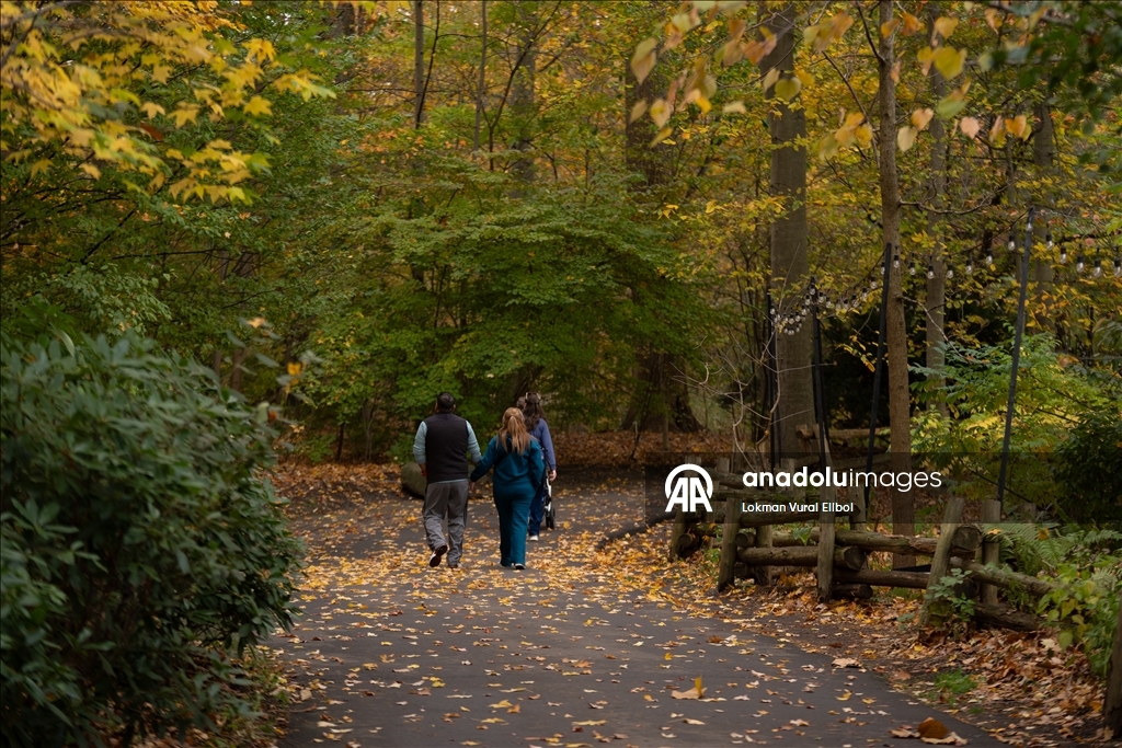New York'un Bronx Hayvanat Bahçesi’nde sonbahar