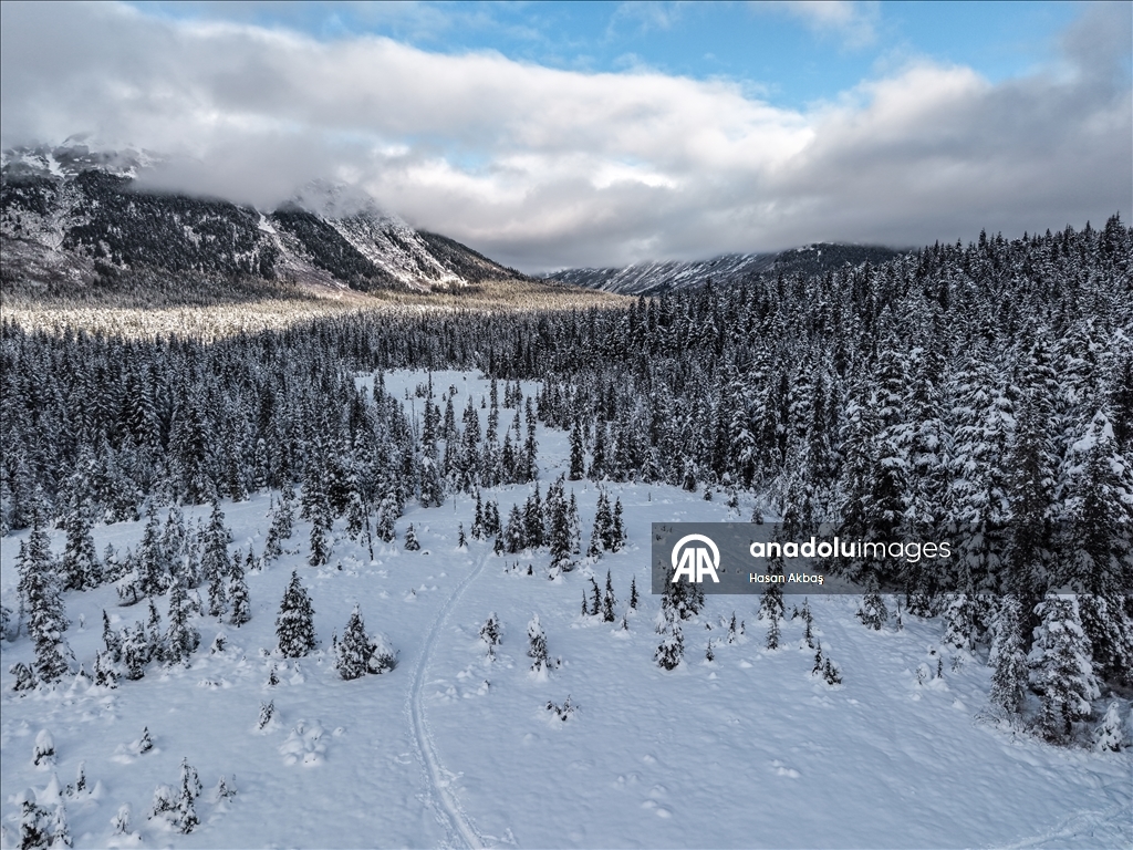 First major snowfall in Alaska's Girdwood