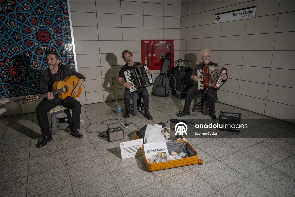 "Sirkecili” the cat steals hearts at Istanbul’s Sirkeci Marmaray Station