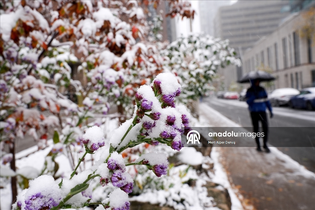 В Торонто выпал первый снег сезона