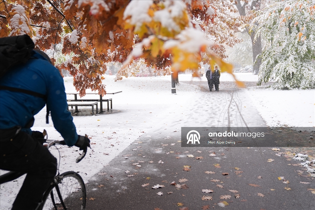 В Торонто выпал первый снег сезона
