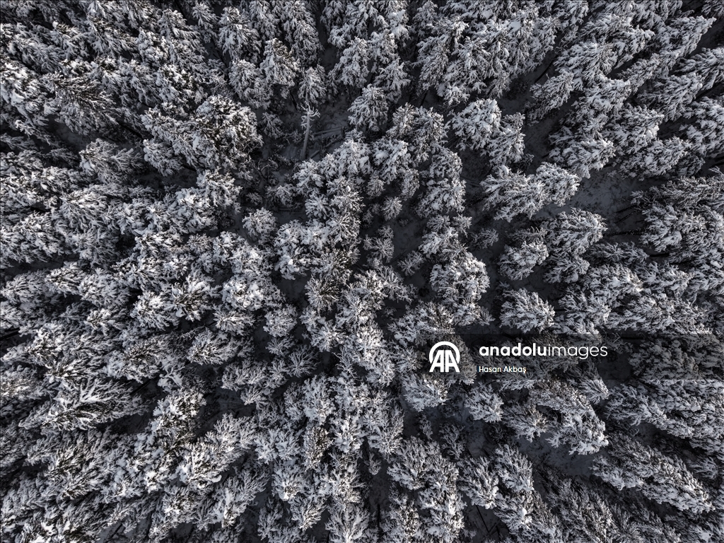 First major snowfall in Alaska's Girdwood