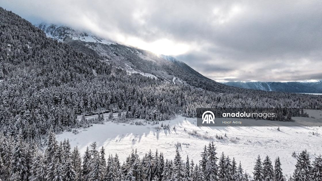 Alaska’da ilk kar yağışıyla doğa beyaza büründü