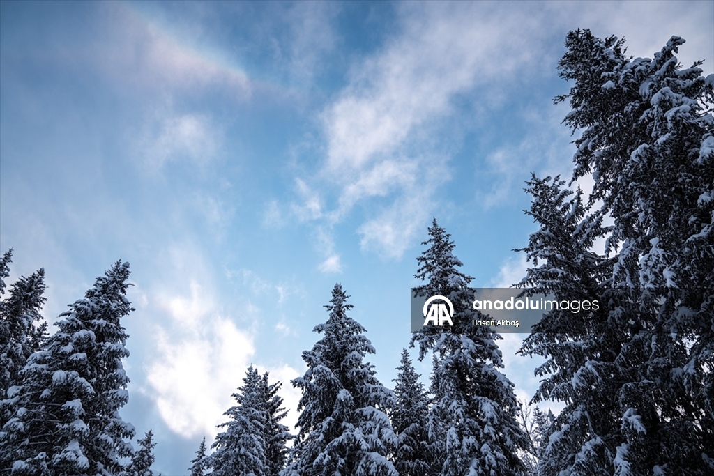 Alaska’da ilk kar yağışıyla doğa beyaza büründü