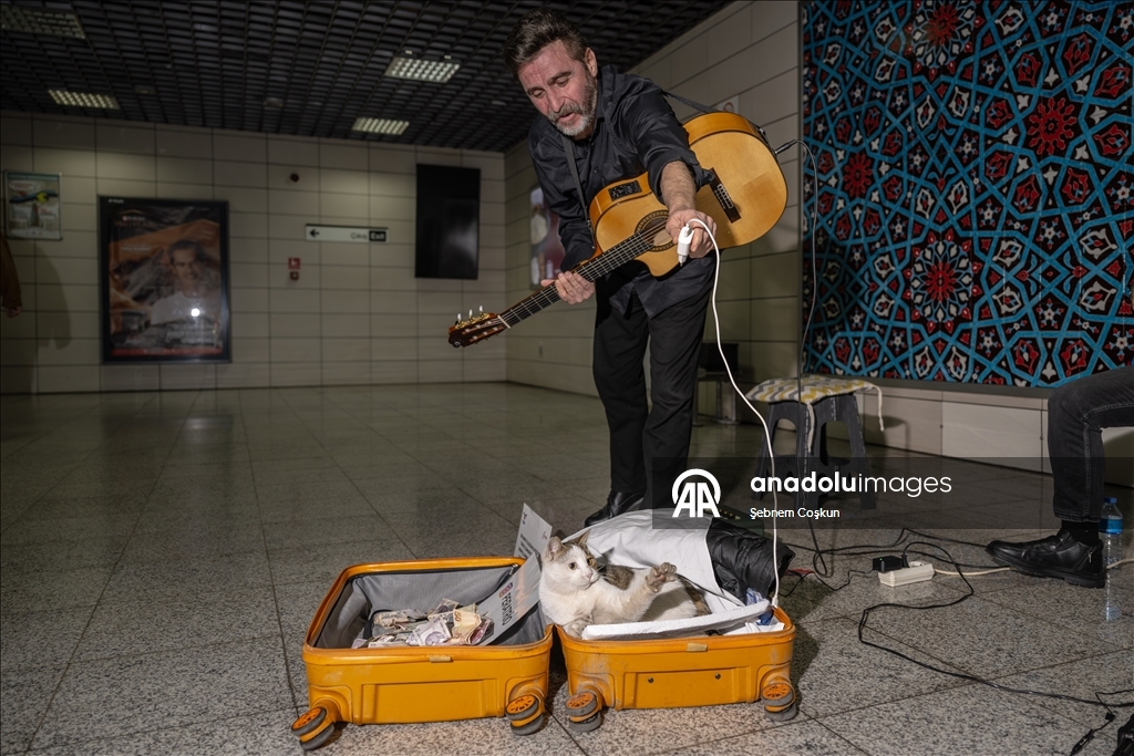 "Sirkecili” the cat steals hearts at Istanbul’s Sirkeci Marmaray Station