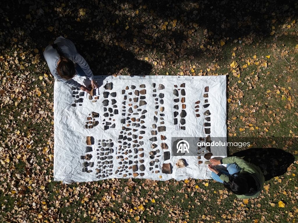 Van'daki kazılarda 5 bin yıllık olduğu değerlendirilen karbonlaşmış arpa taneleri bulundu