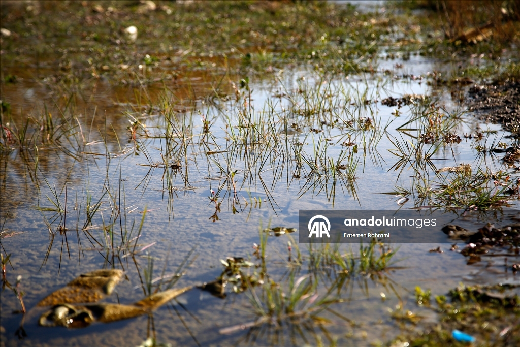 Тегеран, столица Ирана, переживает самый серьезный водный кризис в своей истории