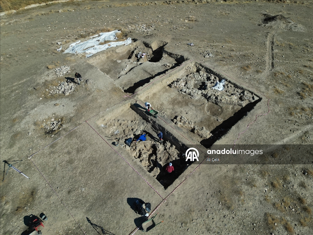 Van'daki kazılarda 5 bin yıllık olduğu değerlendirilen karbonlaşmış arpa taneleri bulundu