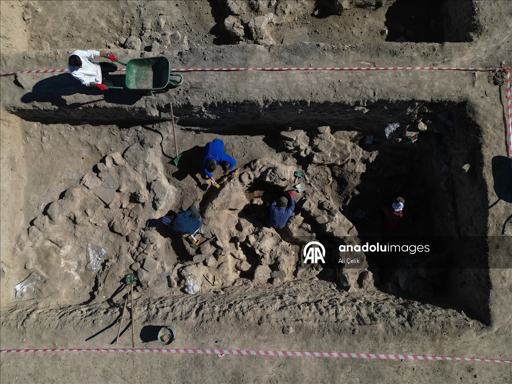 Van'daki kazılarda 5 bin yıllık olduğu değerlendirilen karbonlaşmış arpa taneleri bulundu