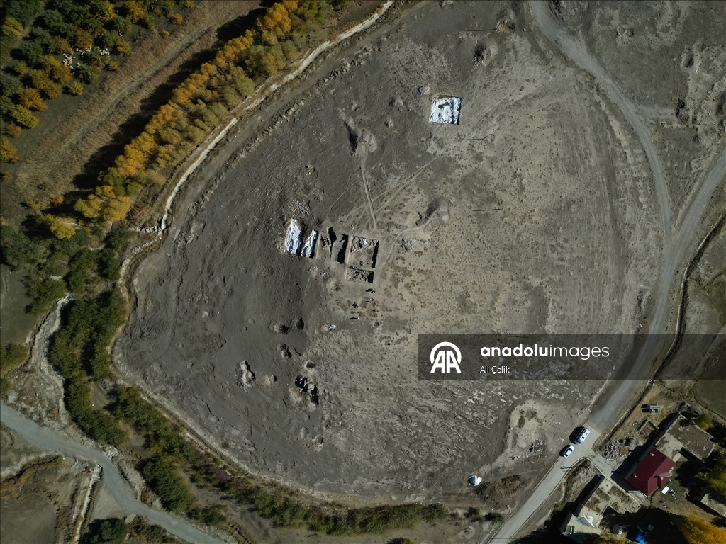 Van'daki kazılarda 5 bin yıllık olduğu değerlendirilen karbonlaşmış arpa taneleri bulundu