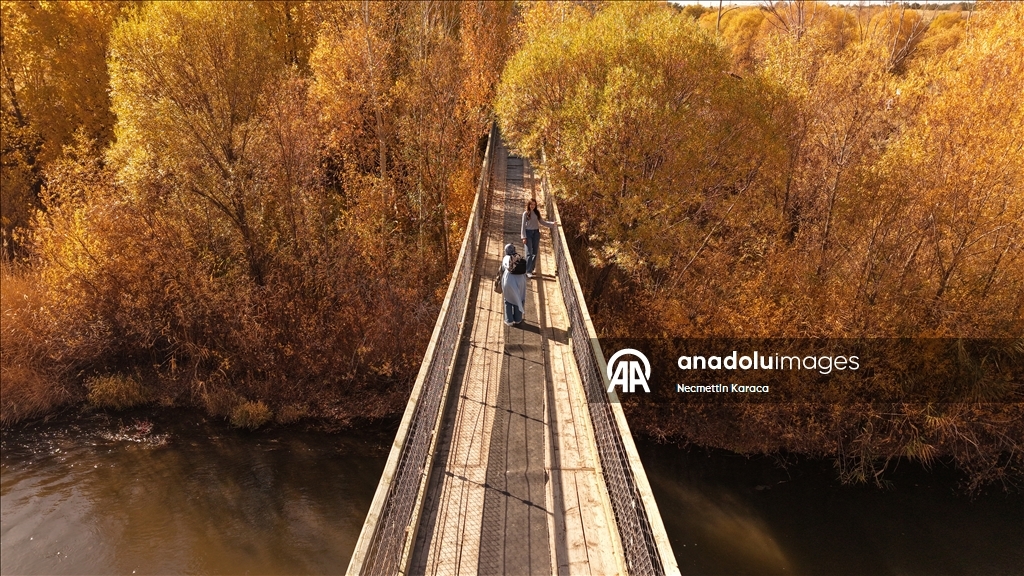 Van'daki İnci Kefali Tabiat Parkı sonbahar renklerine büründü