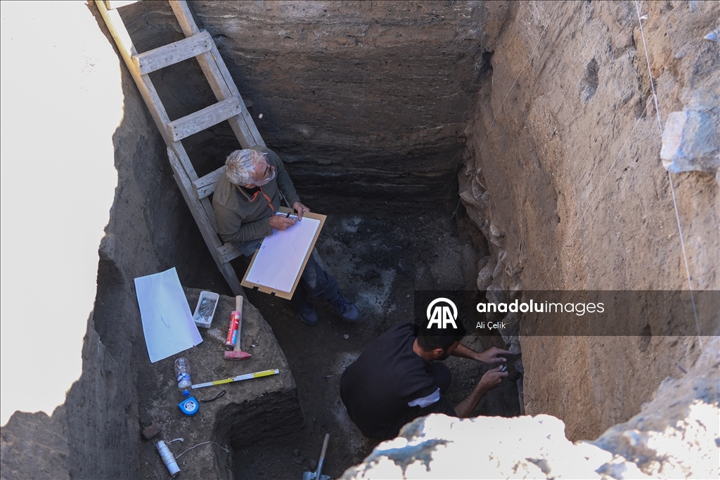 Van'daki kazılarda 5 bin yıllık olduğu değerlendirilen karbonlaşmış arpa taneleri bulundu