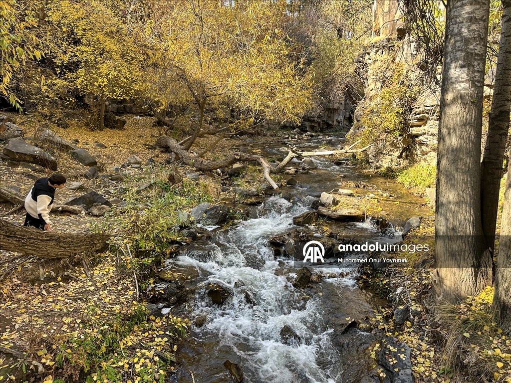 Avgura Muradiyeyê bi rengên payîzê xemilî