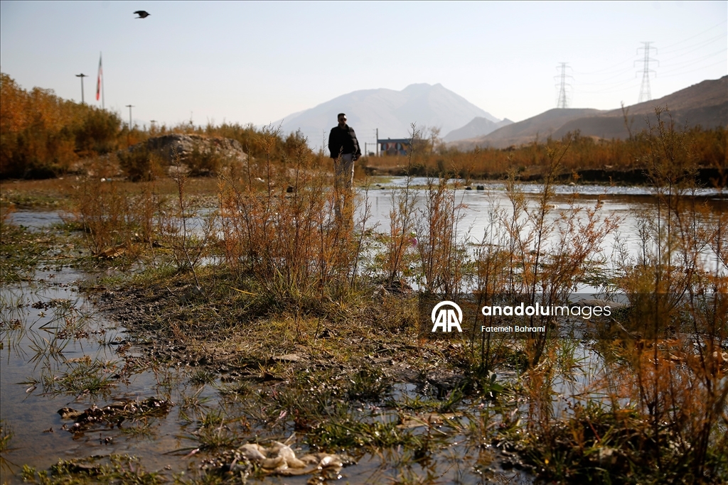 Тегеран, столица Ирана, переживает самый серьезный водный кризис в своей истории