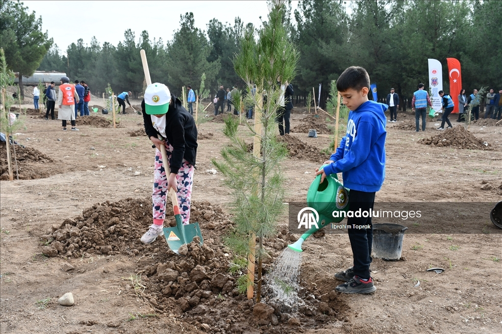 Batman'da "Milli Ağaçlandırma Günü" dolayısıyla fidanlar toprakla buluştu