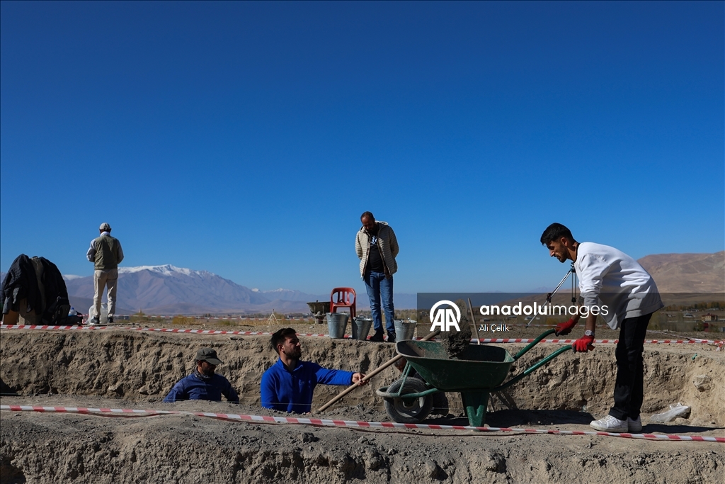Van'daki kazılarda 5 bin yıllık olduğu değerlendirilen karbonlaşmış arpa taneleri bulundu