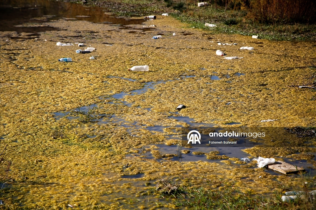 Тегеран, столица Ирана, переживает самый серьезный водный кризис в своей истории