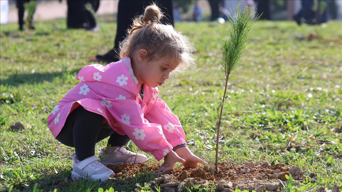 "Milli Ağaçlandırma Günü"nde fidanlar toprakla buluşturuldu