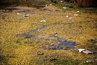 Тегеран, столица Ирана, переживает самый серьезный водный кризис в своей истории