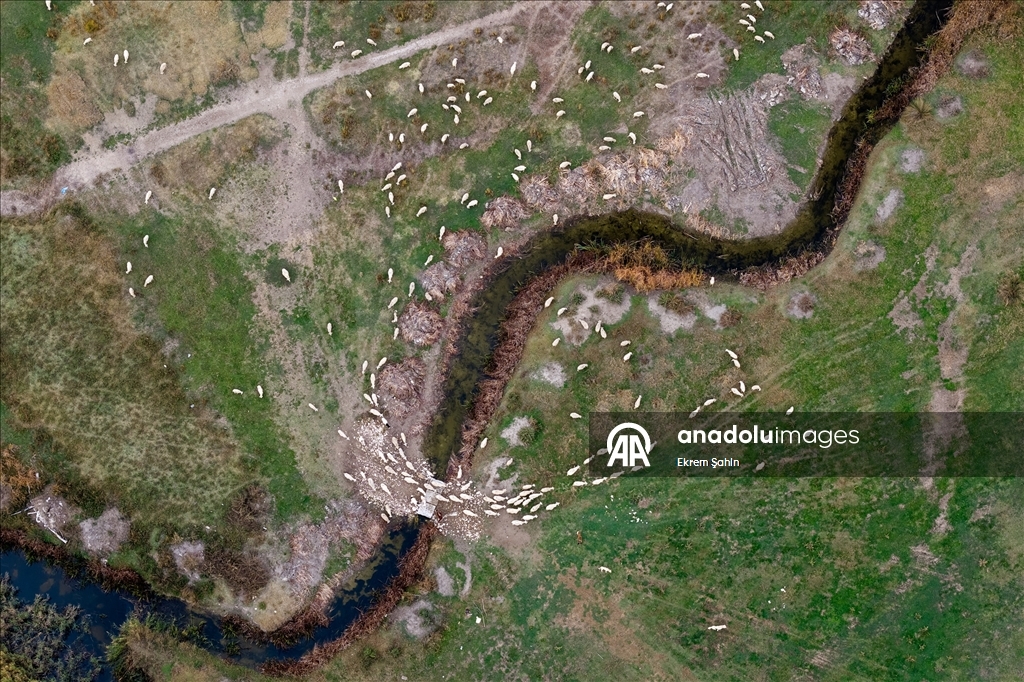 Balıkdamı’nda su seviyesi yüzde 80 azaldı