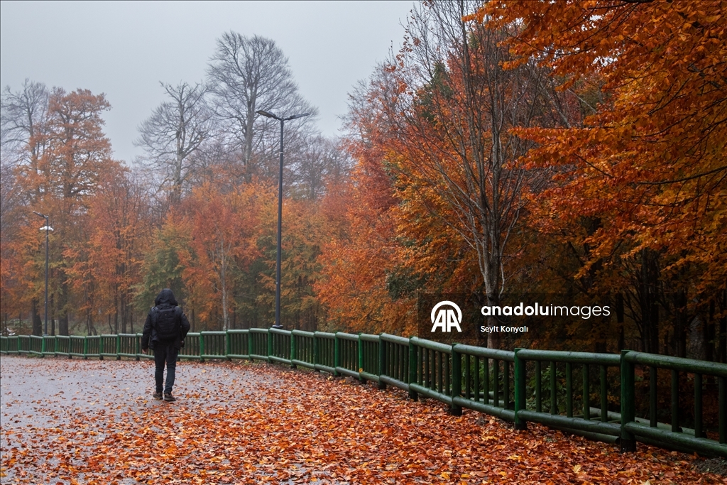 Осень в Картепе