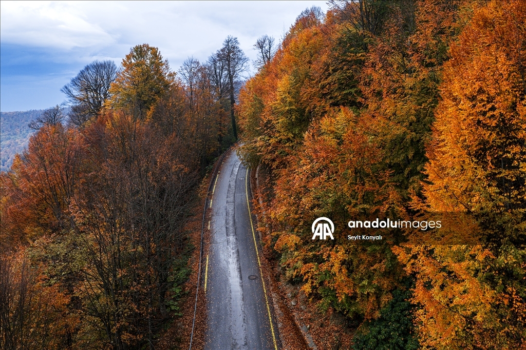 Осень в Картепе