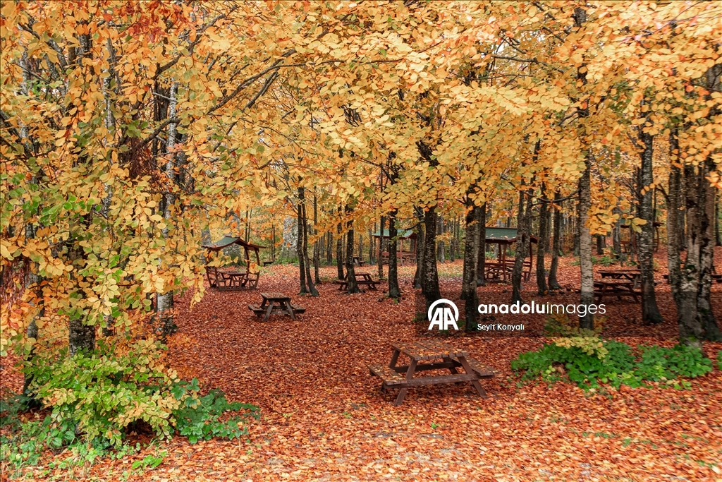 Осень в Картепе