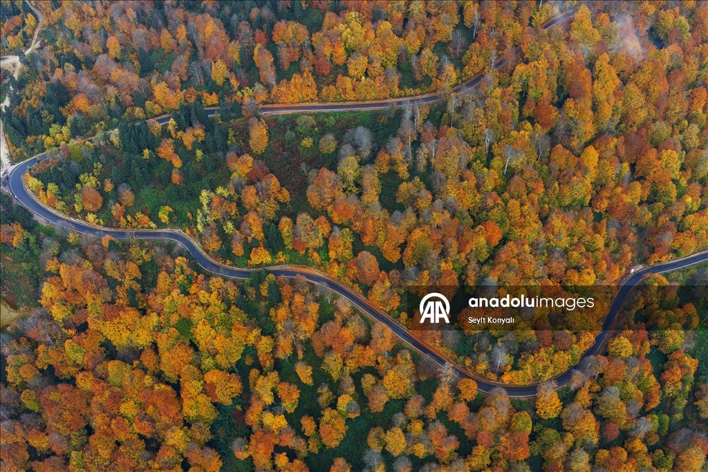 Осень в Картепе