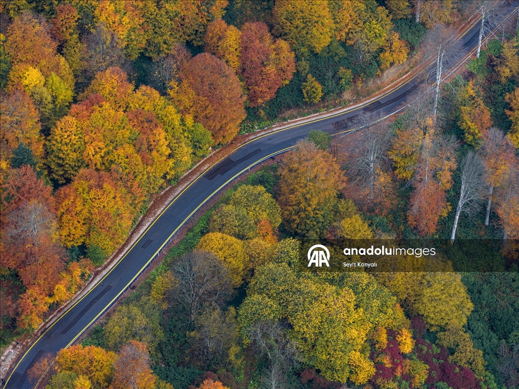 Осень в Картепе