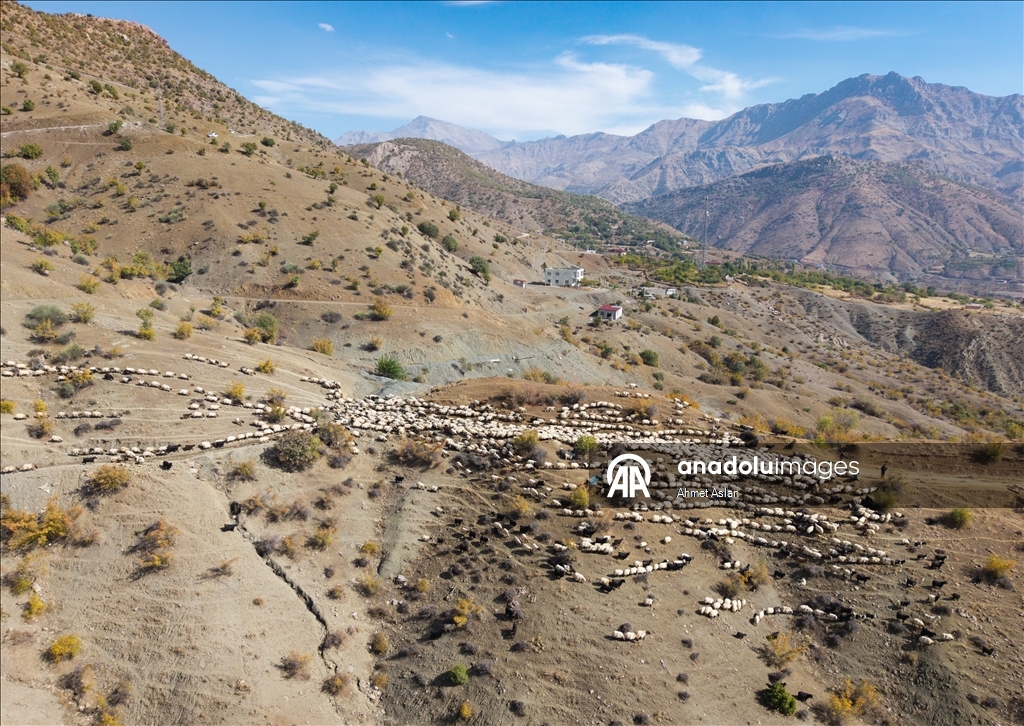 Nomads who spent the summer in the highlands on their return journey