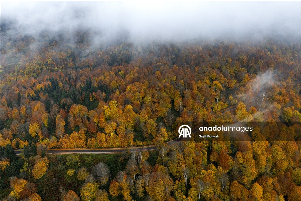 Осень в Картепе