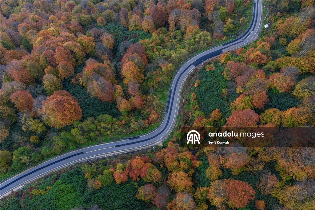 Осень в Картепе