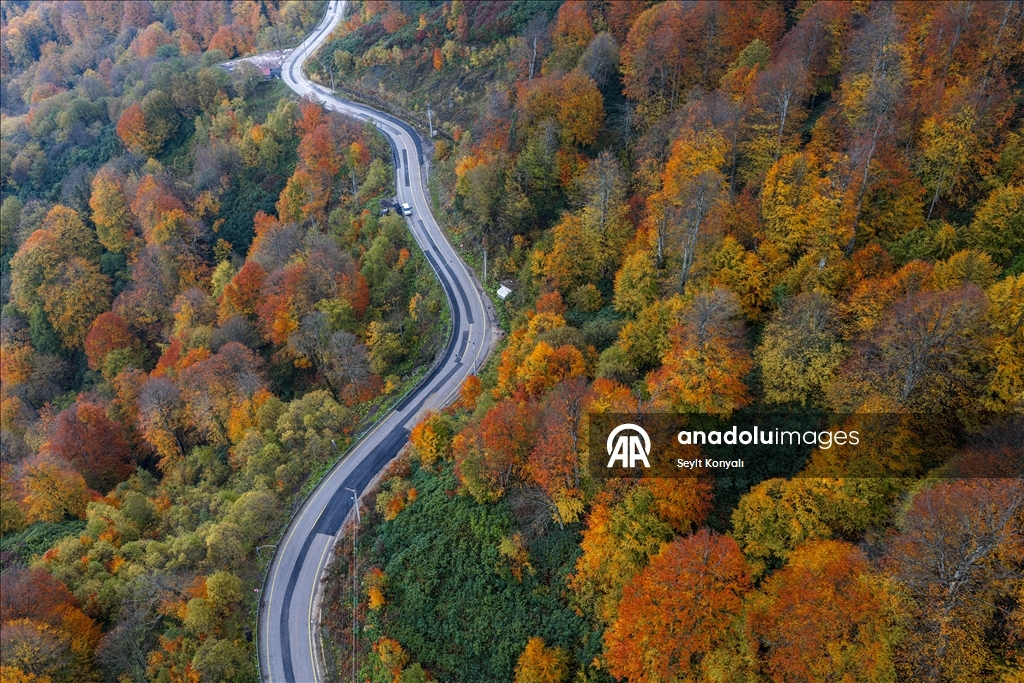 Осень в Картепе