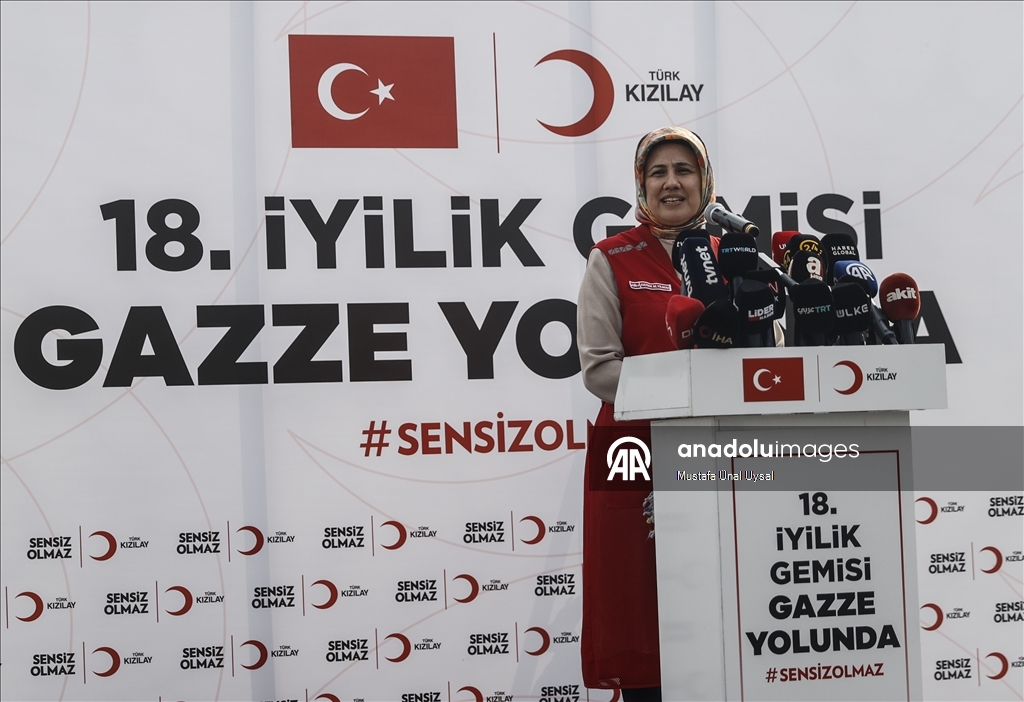 Из турецкого порта Мерсин вышло 18-е «Судно добра» с гумпомощью для Газы