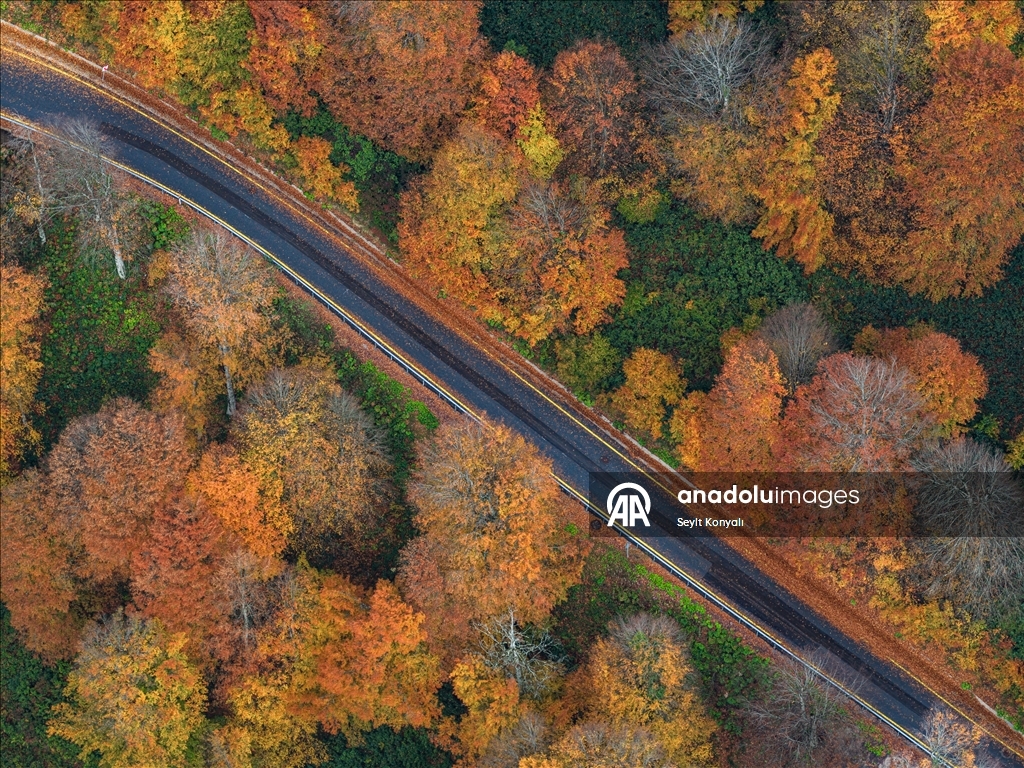 Осень в Картепе