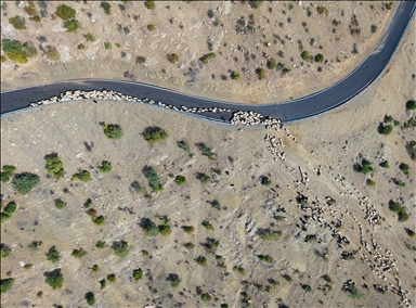 Nomads who spent the summer in the highlands on their return journey