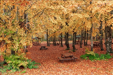 Осень в Картепе