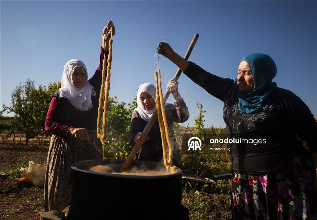 Mardin's Savur keeps its grape heritage alive