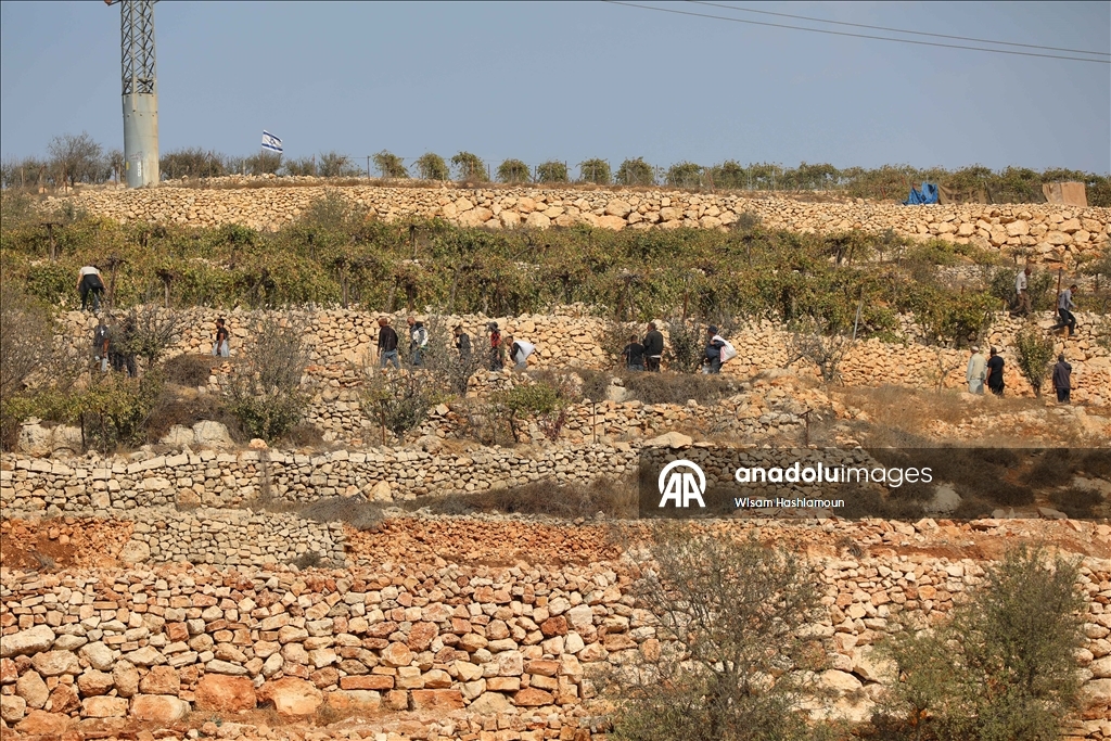 El-Halil’de İsrailli yerleşimci Filistinli çiftçilere aracıyla saldırmaya çalıştı