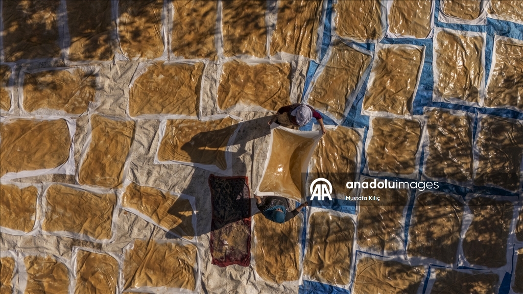 Mardin's Savur keeps its grape heritage alive