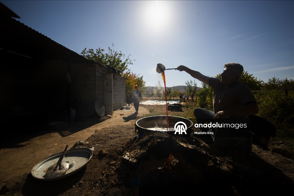 Mardin's Savur keeps its grape heritage alive
