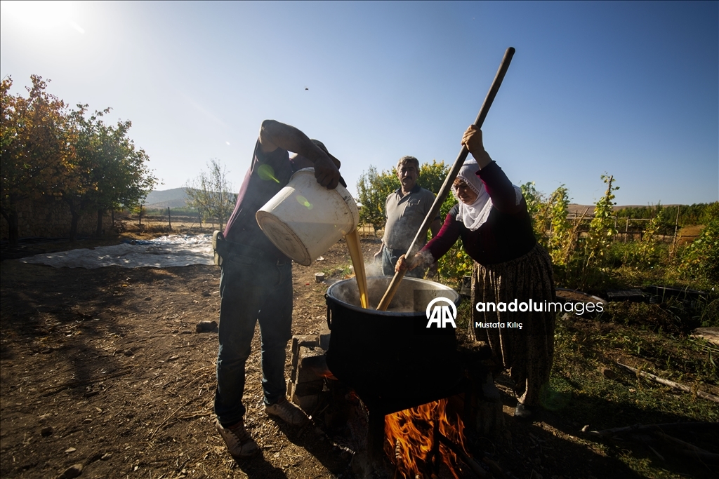 Mardin's Savur keeps its grape heritage alive