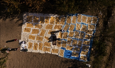 Mardin's Savur keeps its grape heritage alive