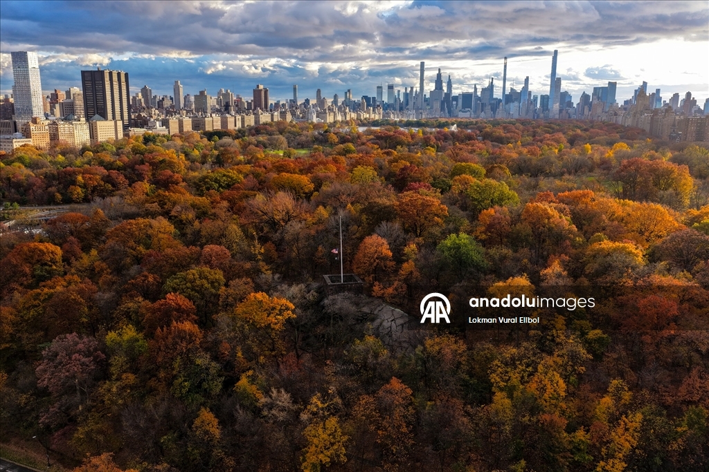 New York'ta sonbahar